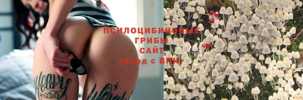 прущие крисы Алзамай